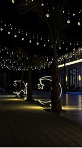 وطندار لم عيدت 🫀💃🏻