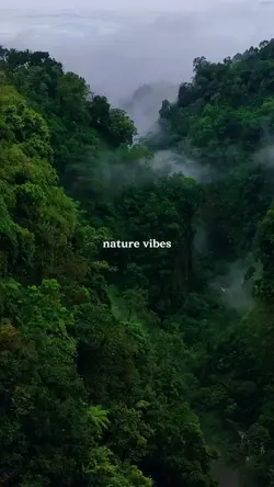 nature vibes