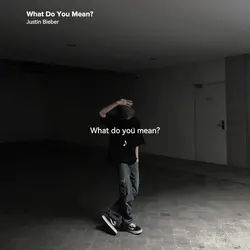 what do you mean?