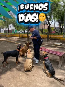 ¡Buenos Días!🌞 1000