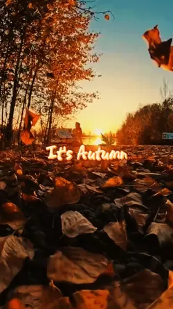 it's Autumn