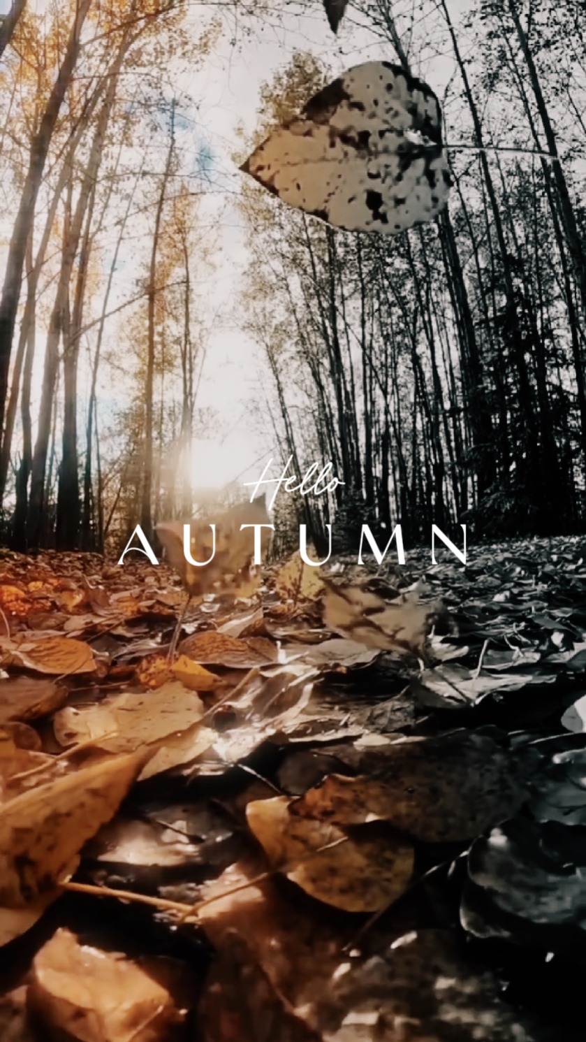 hello Autumn 