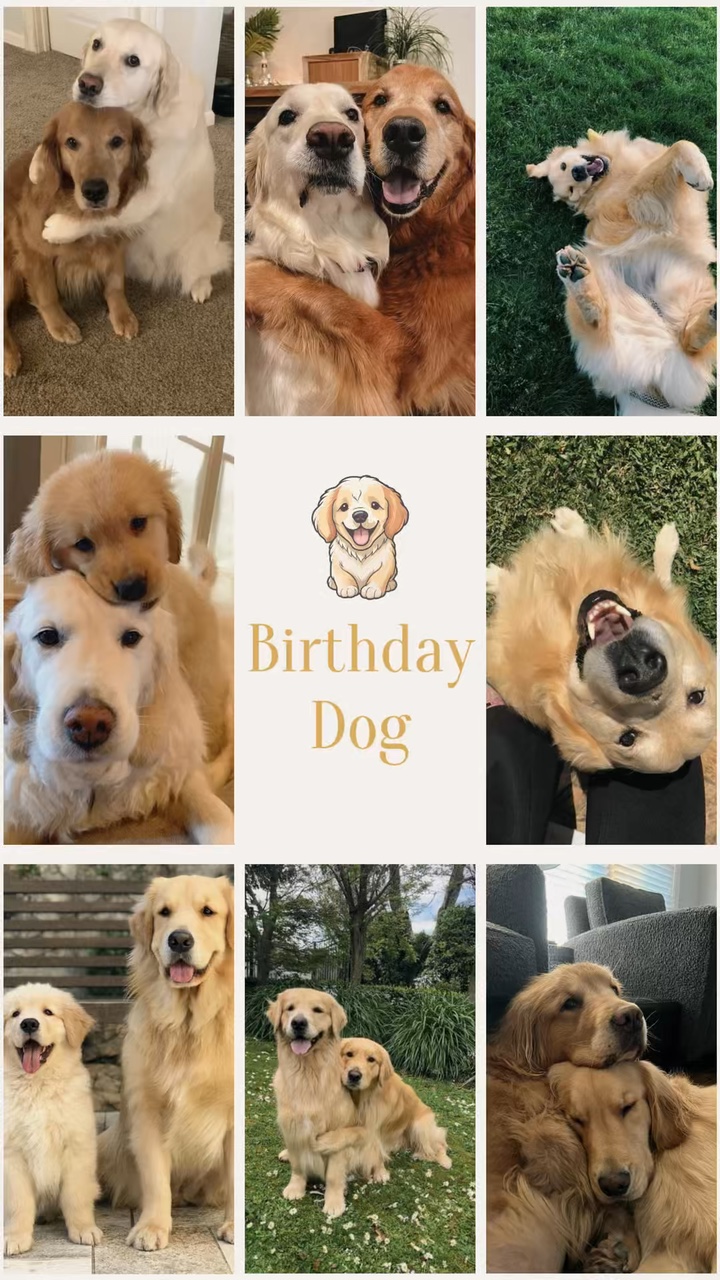 Perro de cumpleaños
