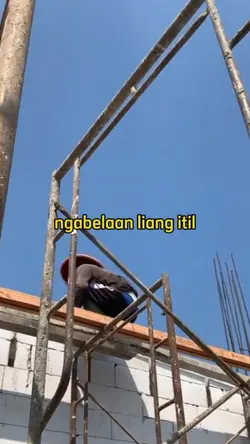 gawe berang peting