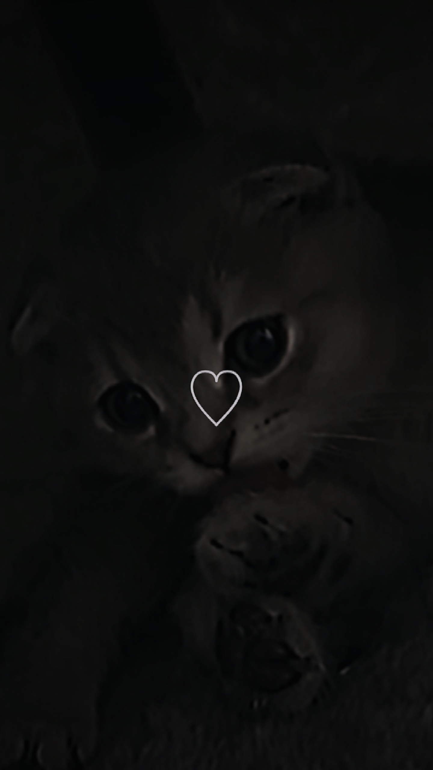 لاتره بيين لللي وقĂ ¤hnlich♥️