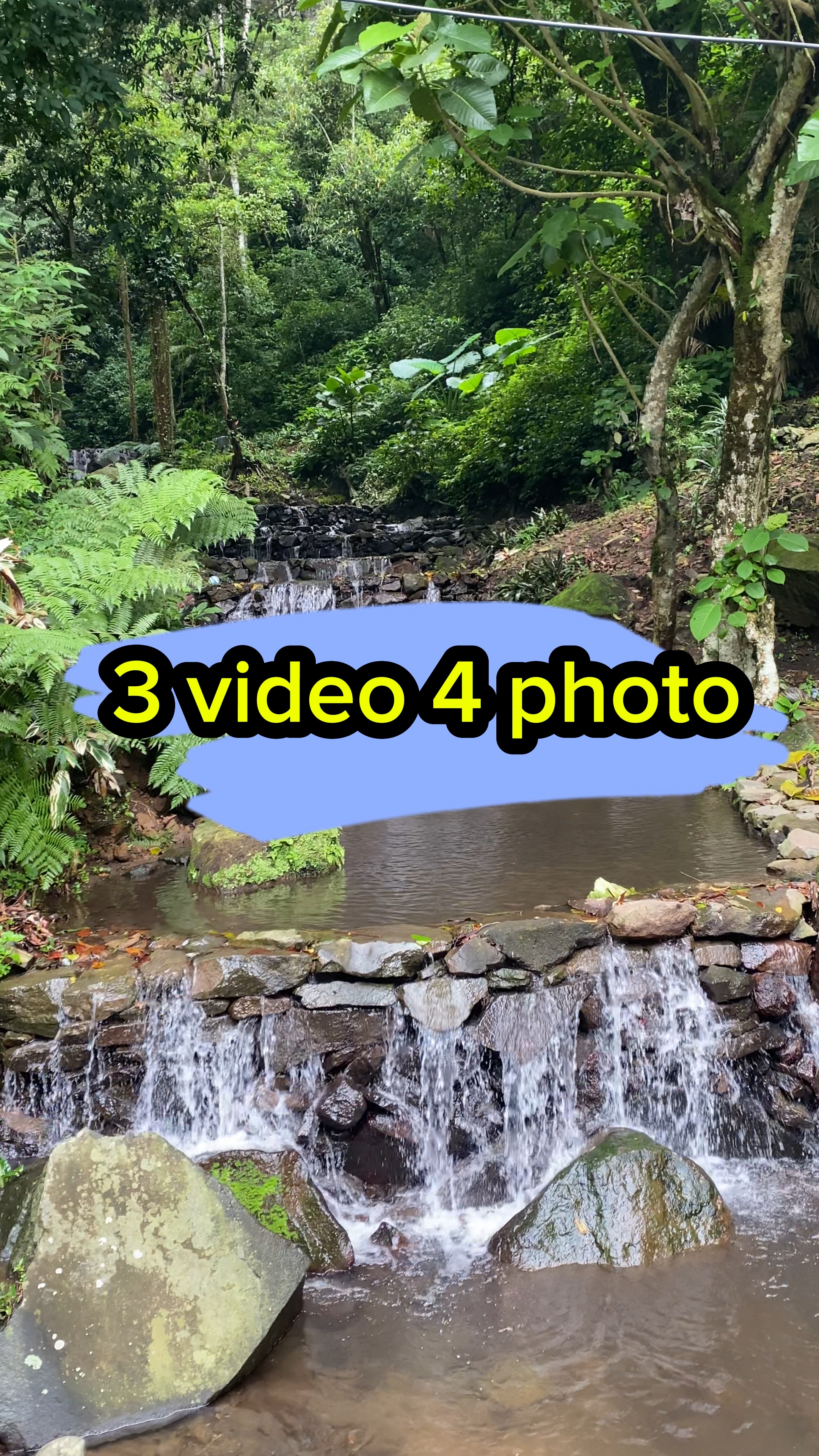 3 vídeo 4 Foto