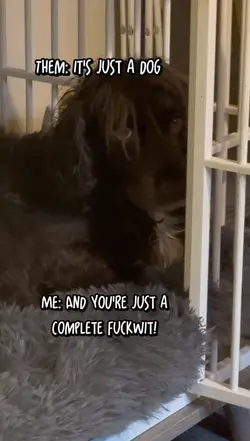 Best.Dog.Ever.