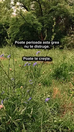 gânduri in ploaie