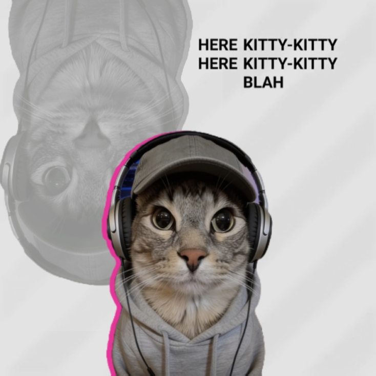 DI SINI KITTY KITTY BLA