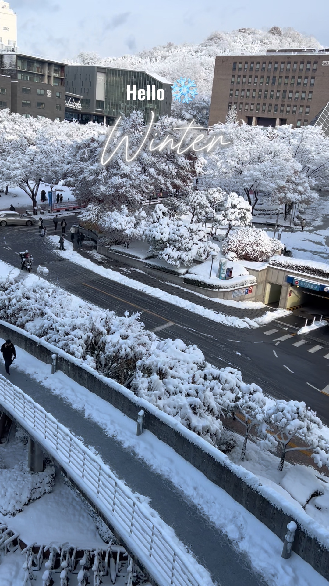 눈이 내립니다