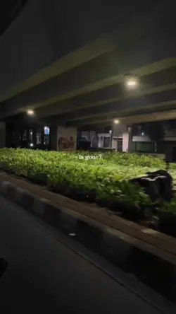 Dynasty x Slowmotion