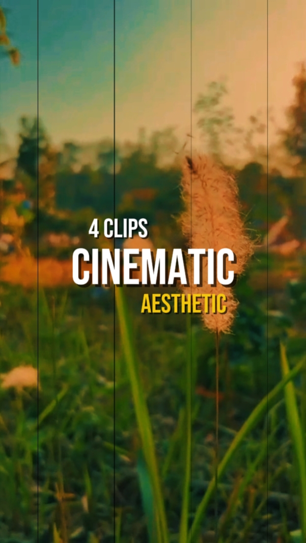 ESTÉTICA CINEMÁTICA