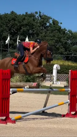 Holy eq