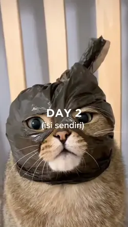 teks bisa di ganti
