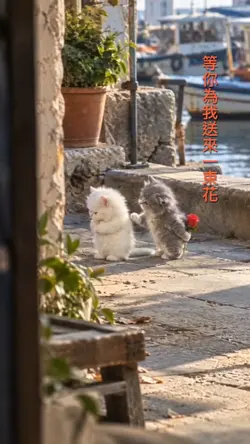 等你為我送來一束花