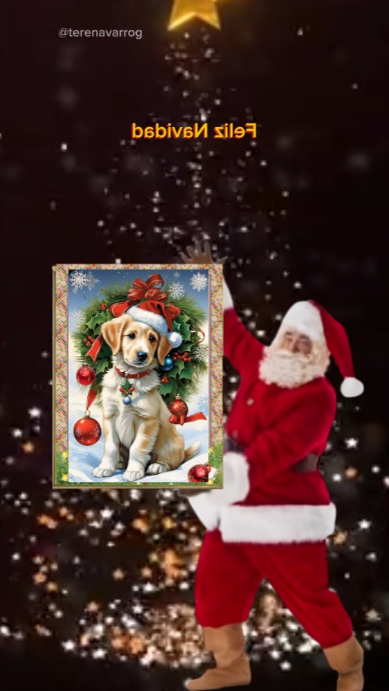 Noel Baba Navidad