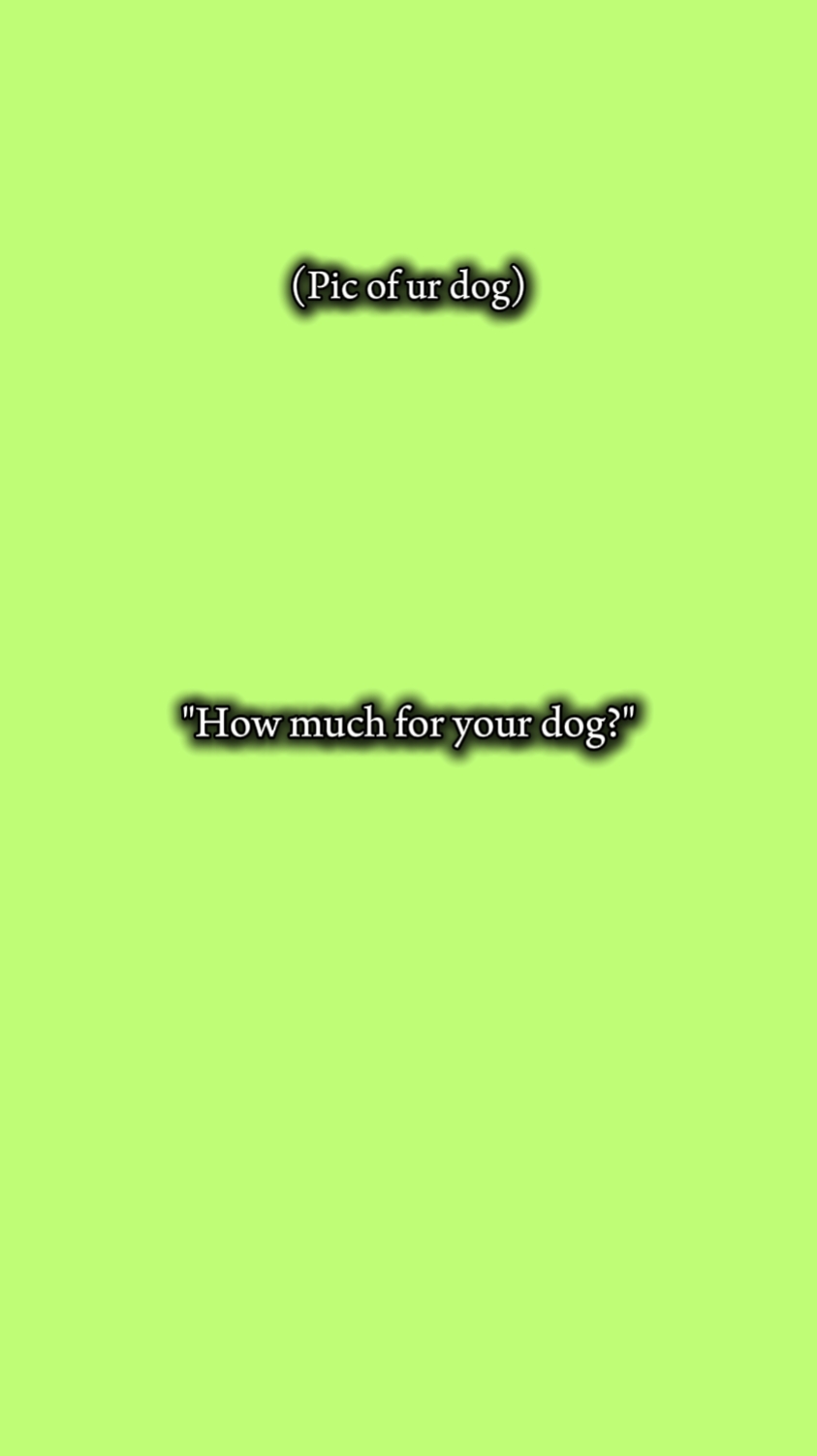 Hund