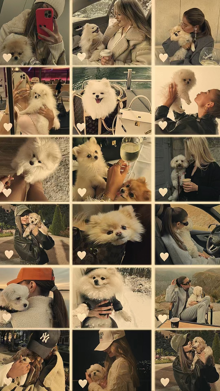 Mein Hund Fotocollage