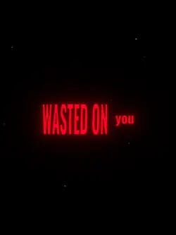 wasted on you