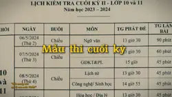 Mẫu thi cuối kỳ