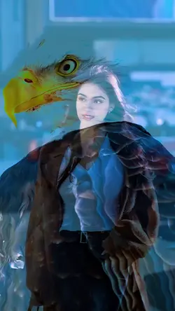 viral template video