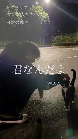 君なんだよ  wacci
