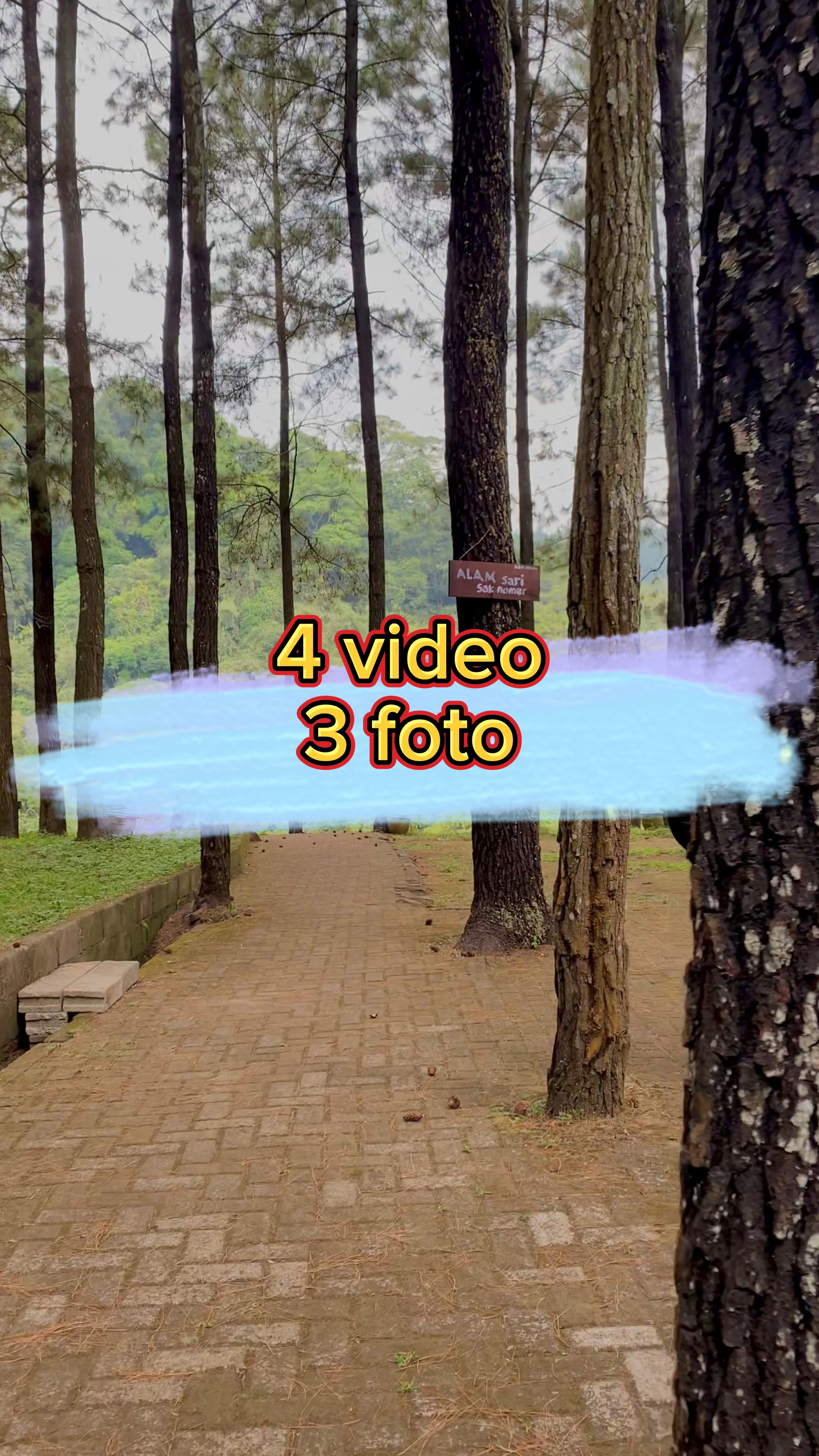 4 Video 3 Larawan