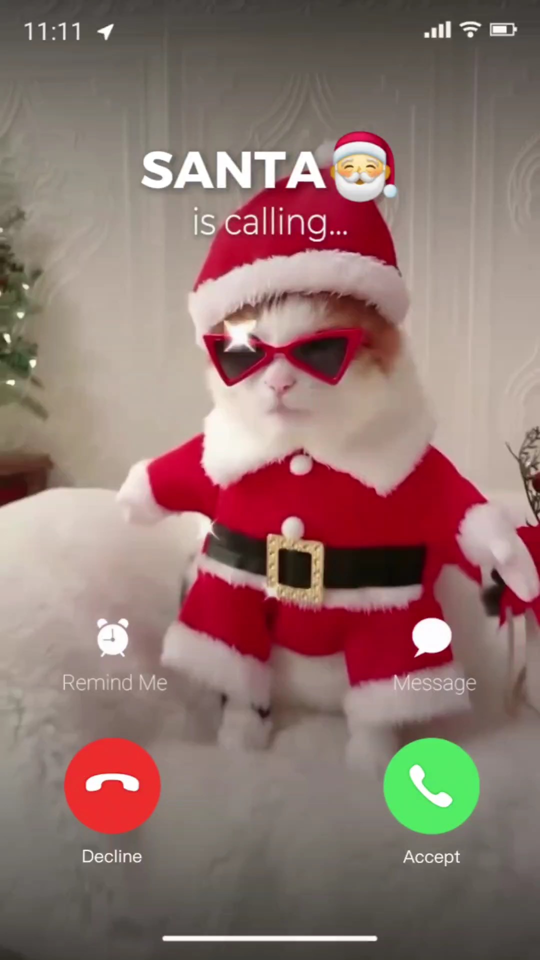O natal está chamando