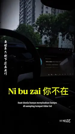 Ni bu zai 你不在