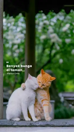 Pantun Cinta