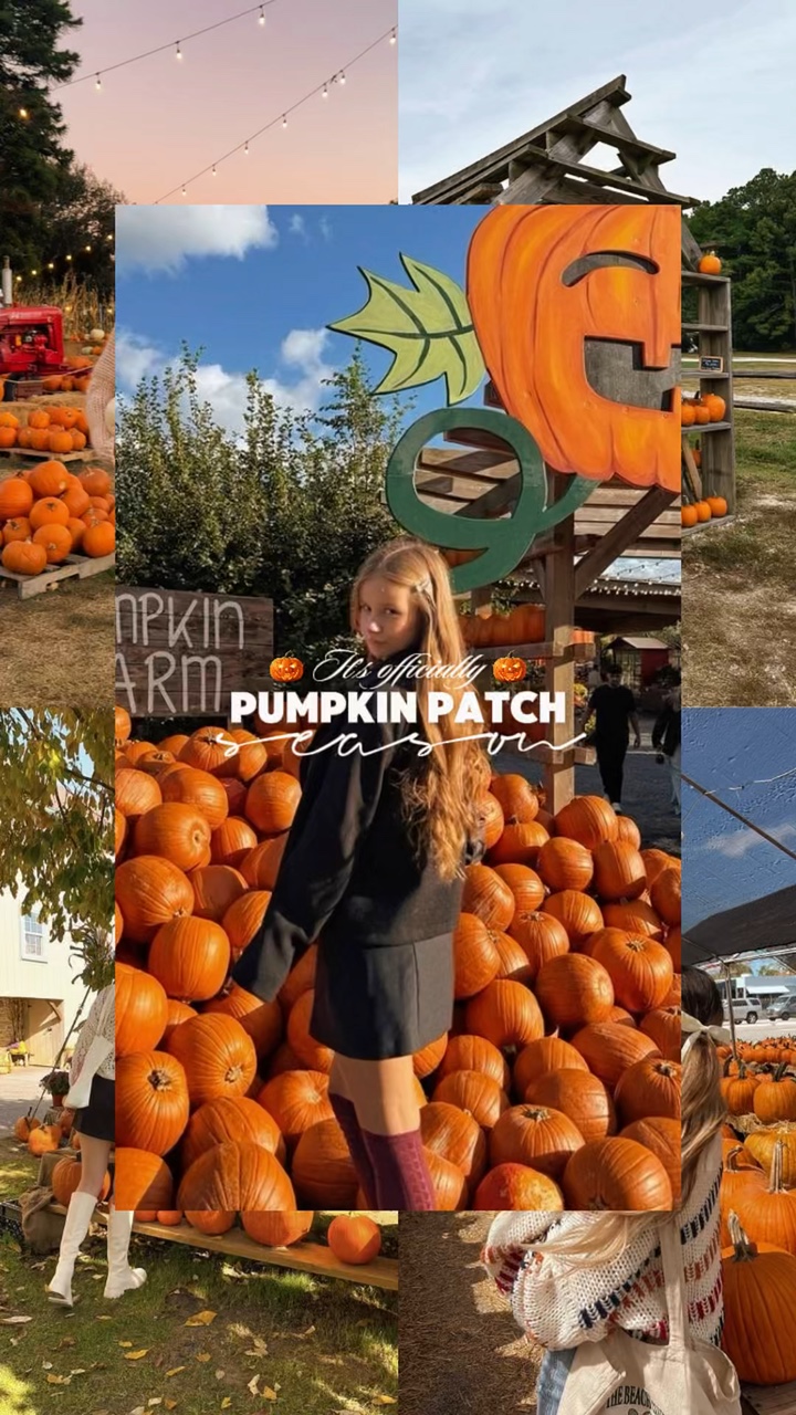 Volcado De Parche De Calabaza 🎃