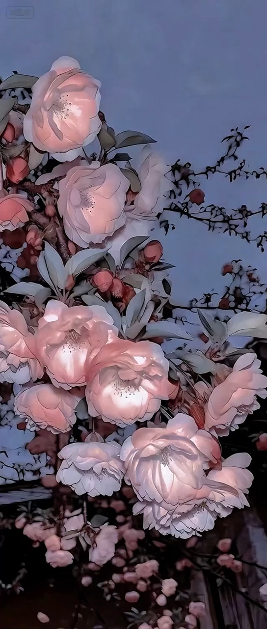 Fondo de pantalla 3D