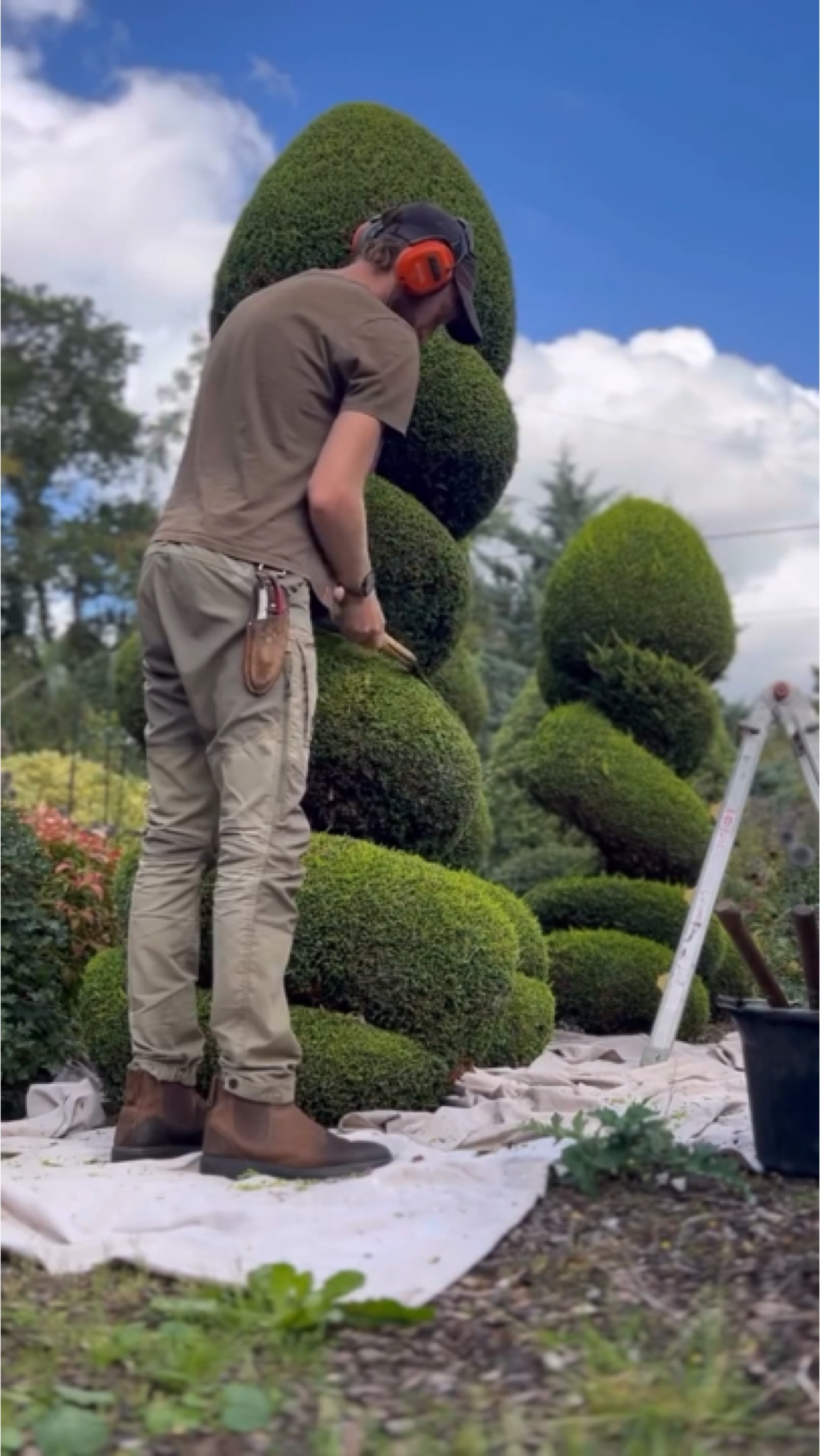 Jardinage