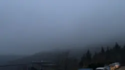 毒藥