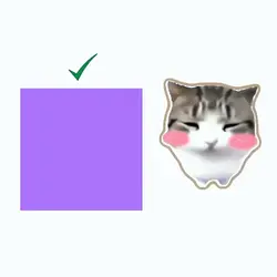 Trending cute cat