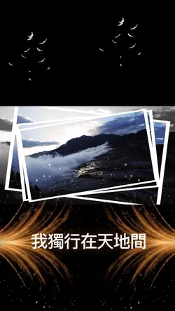 我獨行在天地間
