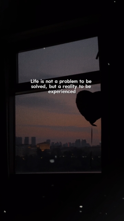 A vida não é um problema