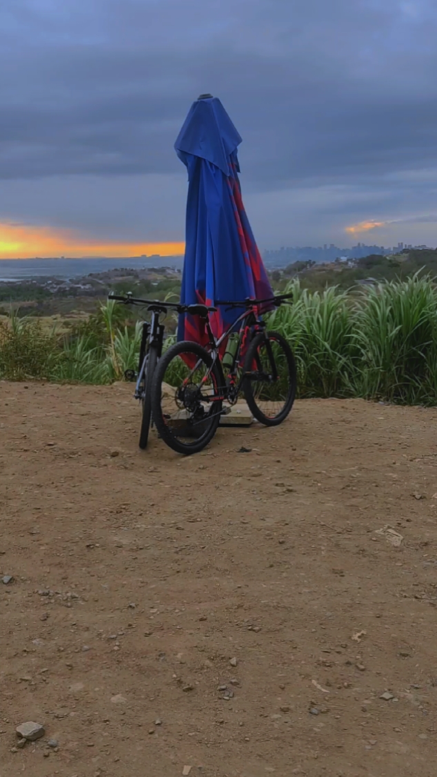 bike montage