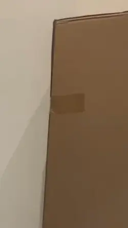 沙發成長紀錄🗒️