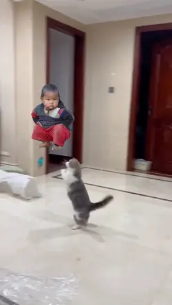Main Sama Kucing