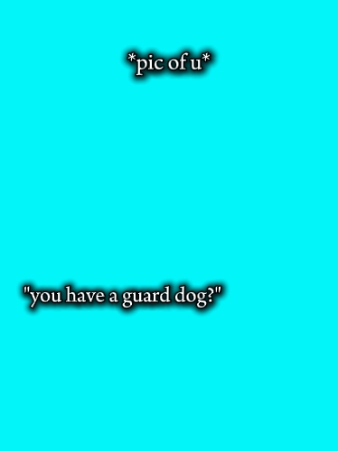 guard dog 