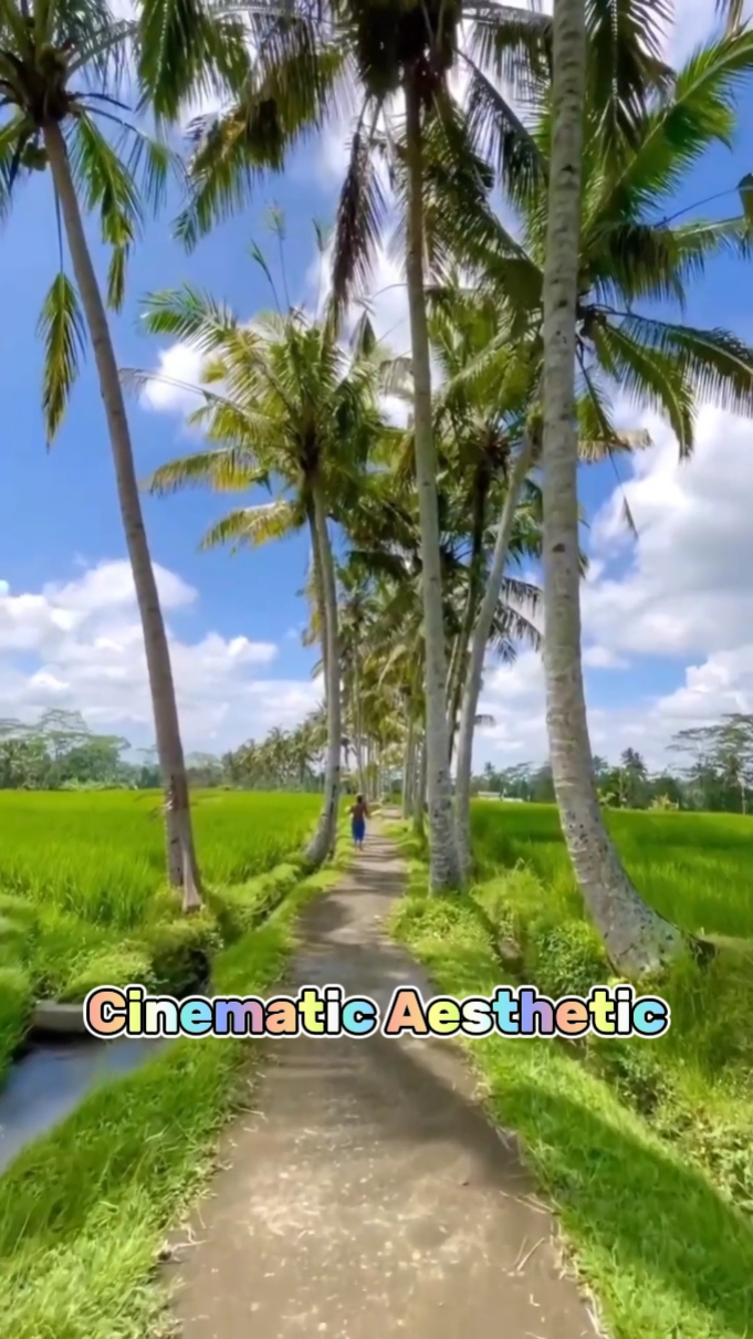 Cinematic Aesthetic