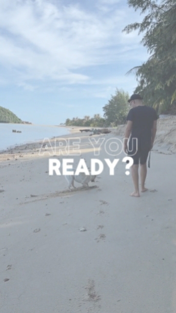 ready 