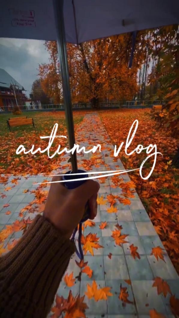vlog d'automne
