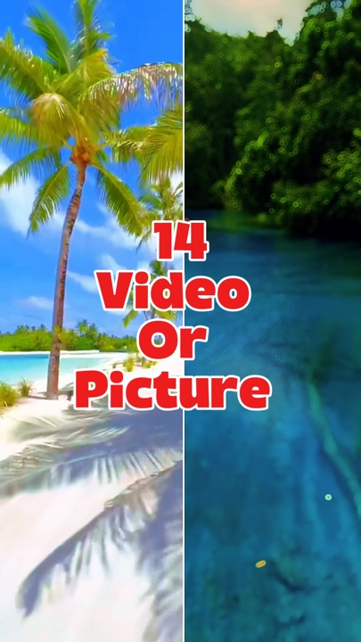 14 video o larawan 