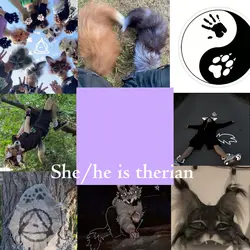 She/he is 