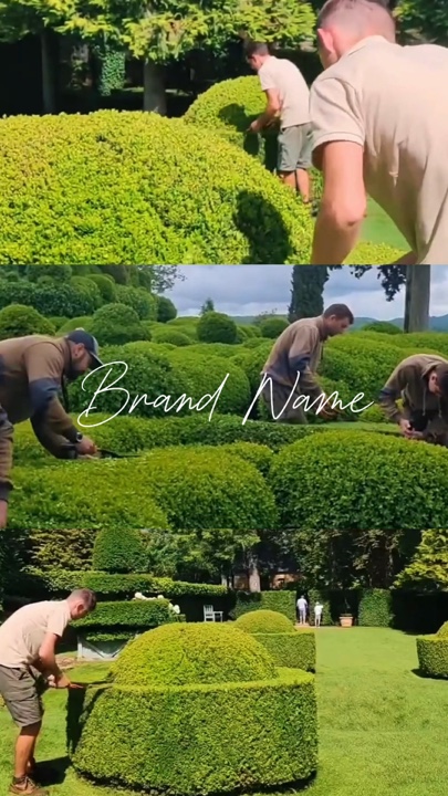 Gardening