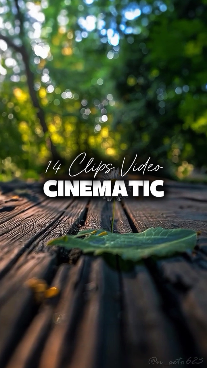 14 Vidéos Cinématiques 