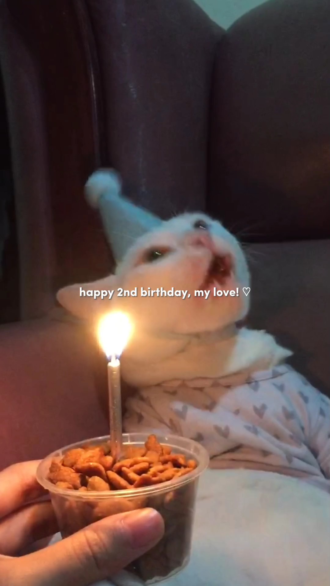 Joyeux anniversaire!