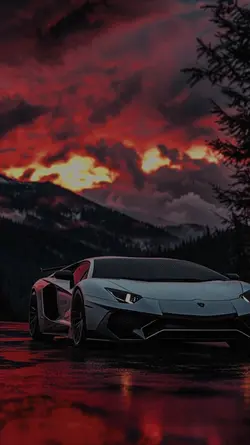 car name?